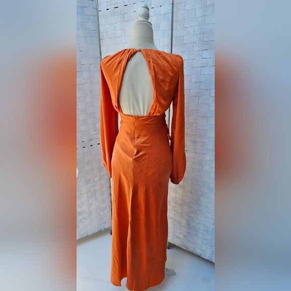 PETAL AND PUP MIDI DRESS - Picture 4 of 12